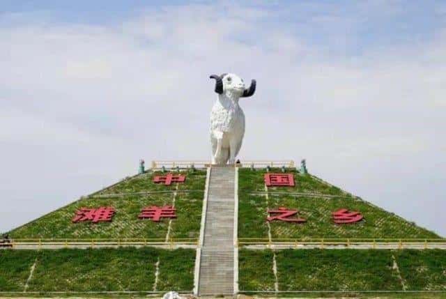 宁夏羊肉牌子（宁夏羊肉哪里出名）