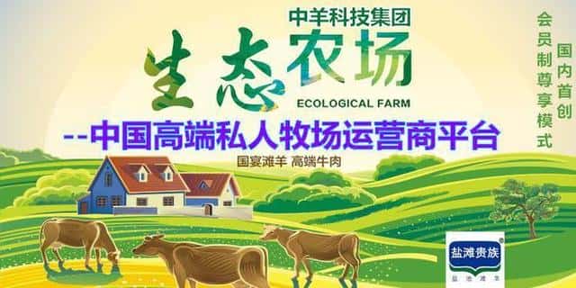 宁夏羊肉牌子（宁夏羊肉哪里出名）