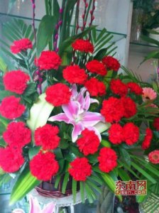 ​世界各地的母亲节都是这一天吗(世界各地的母亲节是几月几日)