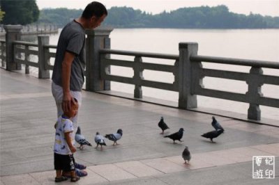 ​广州海珠湿地公园在哪个地铁出口？广州海珠湿地公园门票