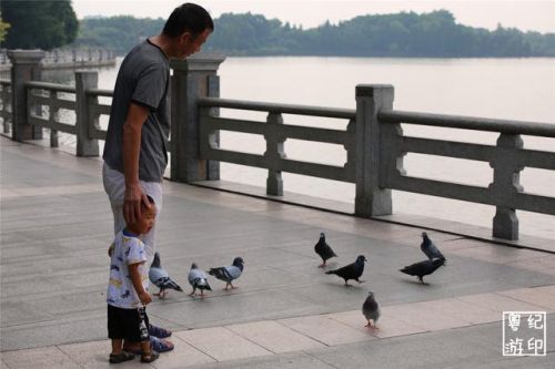 广州海珠湿地公园在哪个地铁出口？广州海珠湿地公园门票-第1张图片-