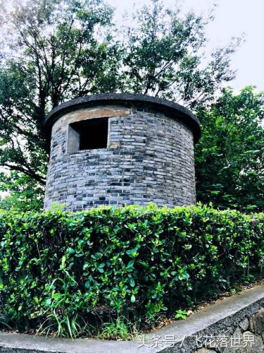 九龙山旅游度假区要门票吗(浙江九龙山旅游度假区)-第2张图片-