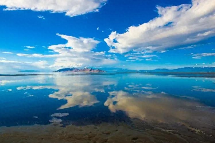 盐湖城在美国哪个州(盐湖城为什么都是白人)