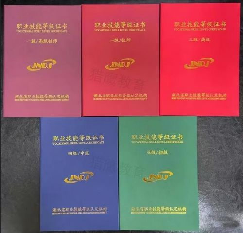 英语三级查询入口(英语三级查询成绩入口)-第1张图片-