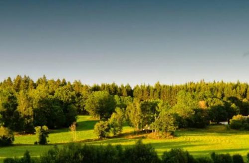 电子售票系统步骤(电子售票管理系统)-第2张图片-