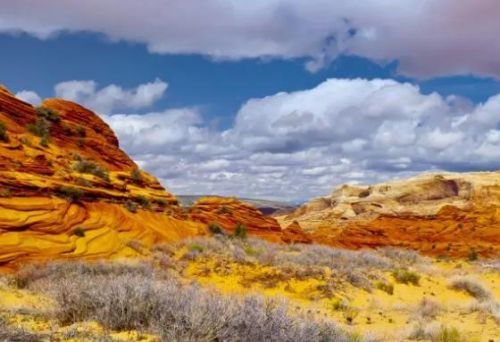 电子售票系统步骤(电子售票管理系统)-第1张图片-