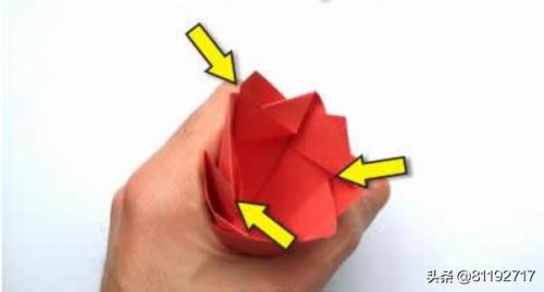 折纸花大全图解80种(折纸花大全图解80种卷花)-第2张图片-