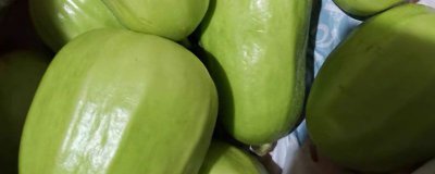 ​为什么云南小瓜会苦 小瓜变苦是不是有毒了