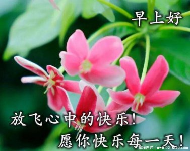 ​最能打动人心的早安问候，20句早安美好祝福语大全