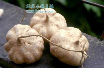 ​葛薯是什么？ 葛薯的做法