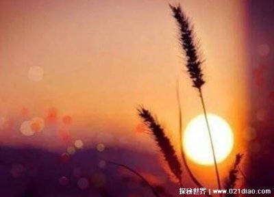 ​朋友圈的精辟霸气短句 气质个性文案