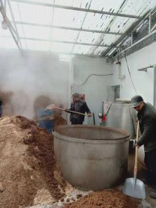 ​洋河古镇青花瓷(洋河青花瓷多少钱一瓶)