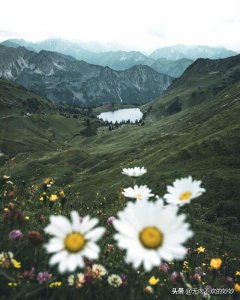 ​葡萄酒冬天的储存 *** (冬天储存食物的 *** )