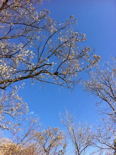 那时候天还是蓝的水是绿的爱情公寓(那时候天还是蓝的段子)-第1张图片-