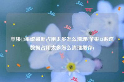 ​苹果13系统数据占用太多怎么清理(苹果13系统数据占用太多怎么清理缓存)