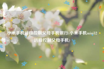 ​小米手机远程控制父母手机银行(小米手机miui12远程控制父母手机)