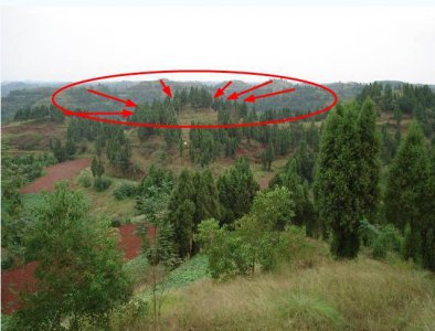 ​怎么看坟地风水好