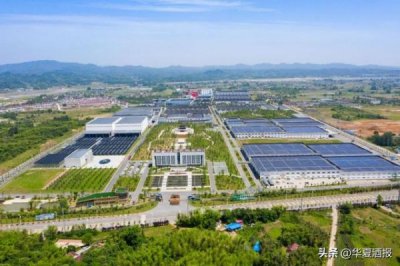 ​迎驾洞藏6有返销怎么看(迎驾洞藏6多少钱)