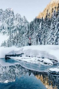 ​智利梦坡干红  智利红酒梦想家系列