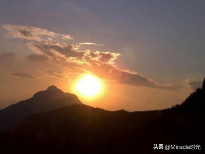 ​中国梦38度白酒价格