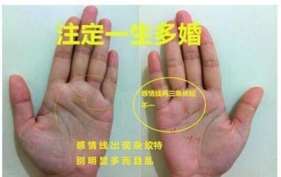 ​感情线有分叉代表什么