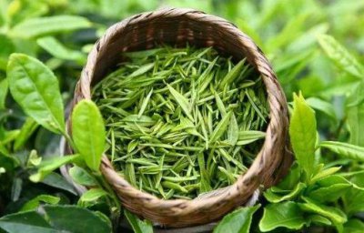 ​多吃10种食物 能帮助你延缓衰老