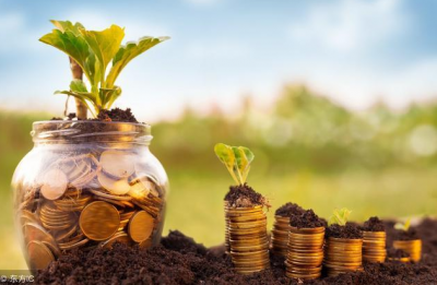 ​智商的英文以及缩写