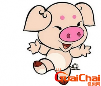 ​属猪女生配什么属相最好？属猪女配什么生肖大富大贵？