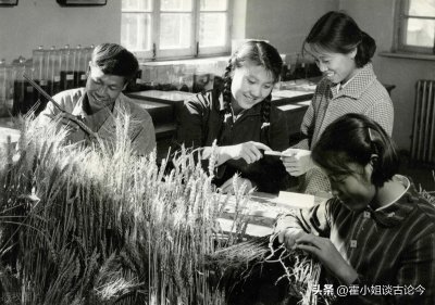 ​在吃都吃不饱的1961 巩县二中凭啥创造全省第一全国第六高考传奇？