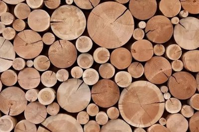 ​树的树干和树枝为什么是圆柱体，而不是其他形状的？