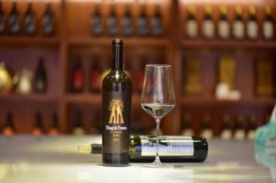 ​依托堡赤霞珠干红葡萄酒(帝菲堡赤霞珠干红葡萄酒价格)