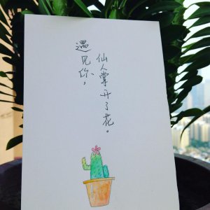 ​明信片怎么画？超简单！教你手绘治愈系小清新明信片