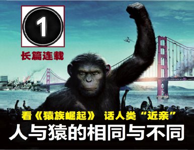 ​看《猿类崛起》，话人类“近亲”-人与猿的相同与不同（1）