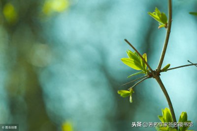 ​路遥《人生》后续，未来《变 》第二十八章