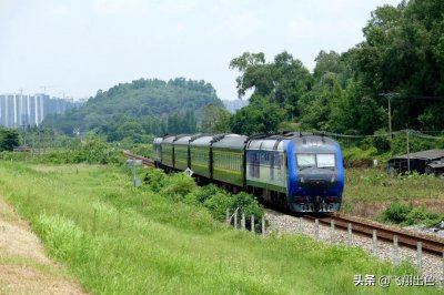 ​广东最特别的“动车组”，茂名的“铁路公交”，为什么停运了？