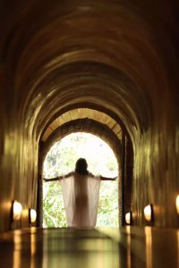 ​经典小文章（不能错过的10篇经典短文）