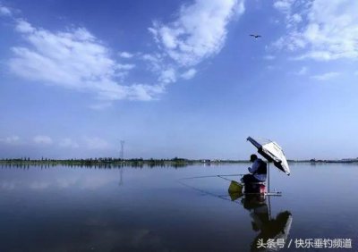 ​钓鱼方法与技巧新手入门（钓鱼八大招，招招凑效！赶紧收藏！）