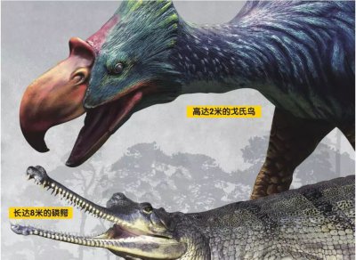 ​哺乳类动物在进化之战中是如何取胜的？