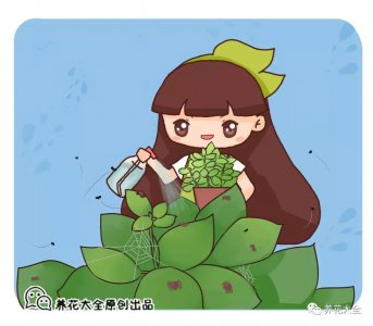 ​夏季防蚊虫的办法（夏天家里蚊虫多？学会这几招，安全又实用！）