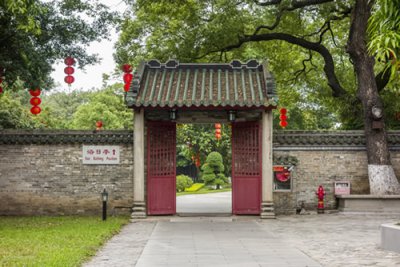 ​十大吉祥之树什么树最旺（“好树”进门，福泽后人！10种吉利树，好养又霸气，