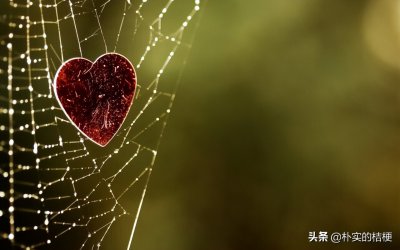 ​什么叫单相思 从心理学的角度来看是什么？