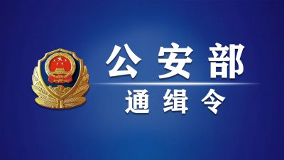 ​公安部发布A级通缉令公开通缉12名电信网络诈骗集团重大头目和骨干人员