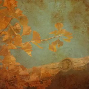 ​银杏叶的功效与作用 为什么说银杏叶是一味神药？看完它的强大功效，震撼了