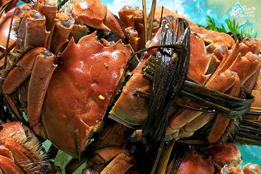 溱湖簖蟹啥意思,为什么中国的文字中专门为此造了一个“簖”字