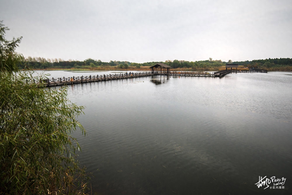 溱湖簖蟹啥意思,为什么中国的文字中专门为此造了一个“簖”字