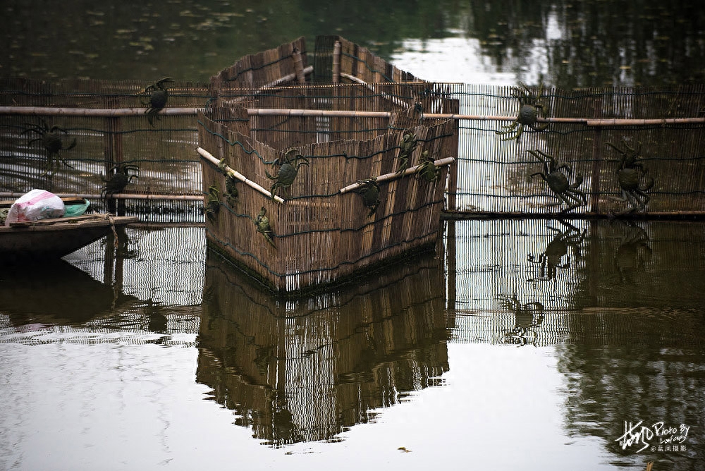 溱湖簖蟹啥意思,为什么中国的文字中专门为此造了一个“簖”字