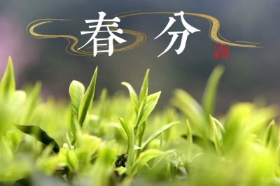 ​春分竖蛋原理是啥（明日春分，无论贫富，记得做5件事，吃4样春食，遵循传统安