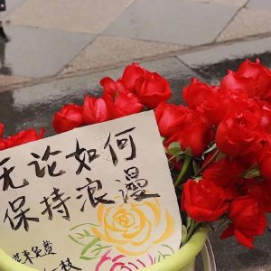 ​美好的句子(关于一些温柔美好的句子)