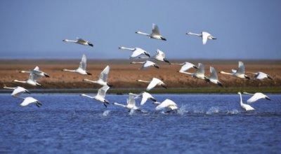 ​岳阳楼在哪个省哪个市（坐着高铁看湖南｜来岳阳楼不止为看巴陵胜景）