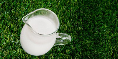 ​调制乳粉是什么？和固体饮料有哪些区别？